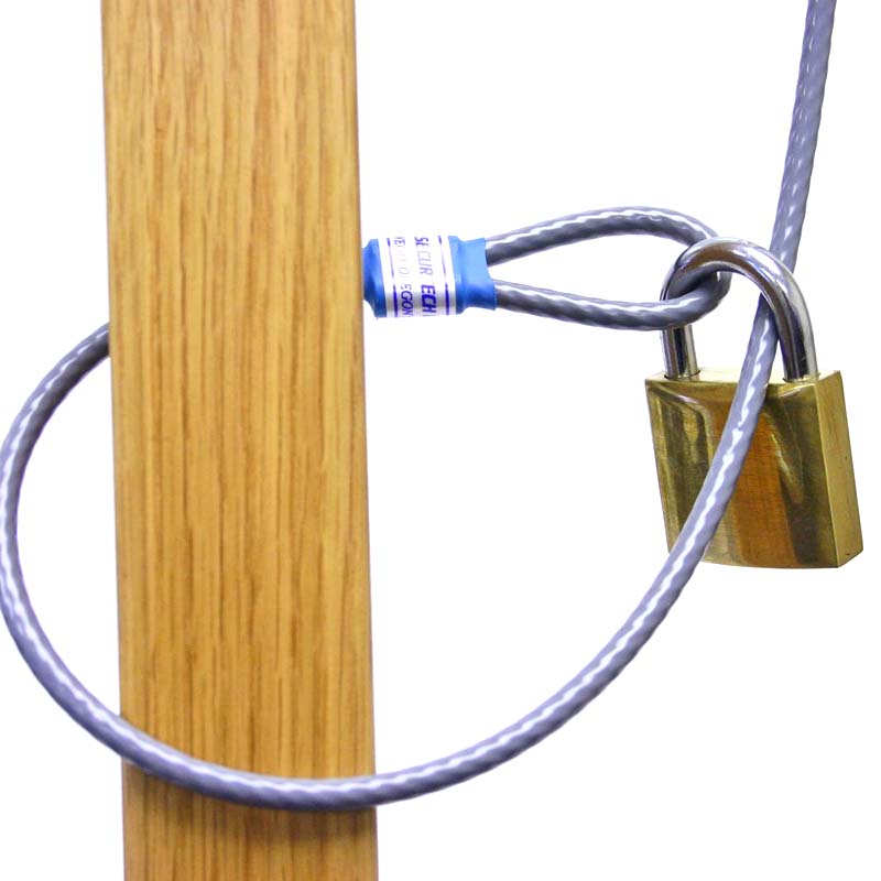 double loop cable lock
